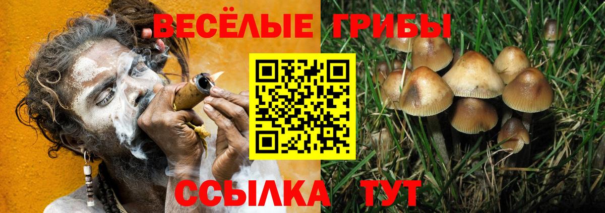 Галлюциногенные грибы GOLDEN TEACHER Корсаков